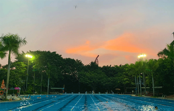 8华侨城体育文化中心游泳场.gif
