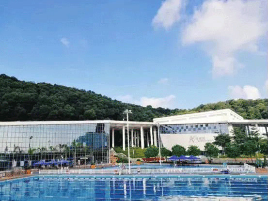 13光明区体育中心游泳场.gif