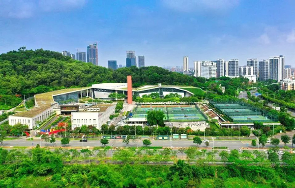 26光明区群众体育中心游泳场.jpg
